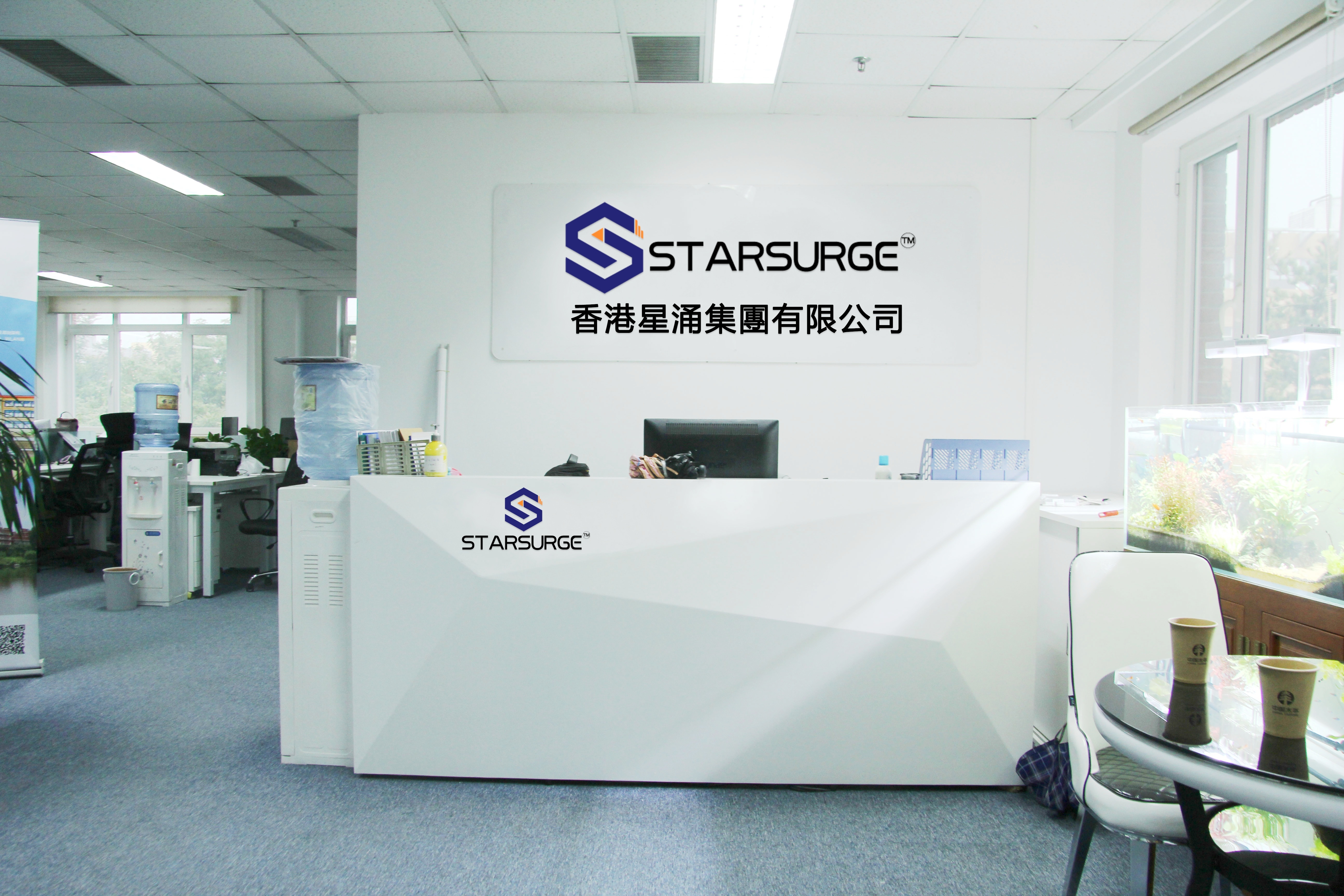 Cina Hong Kong Starsurge Group Co., Limited Profil Perusahaan