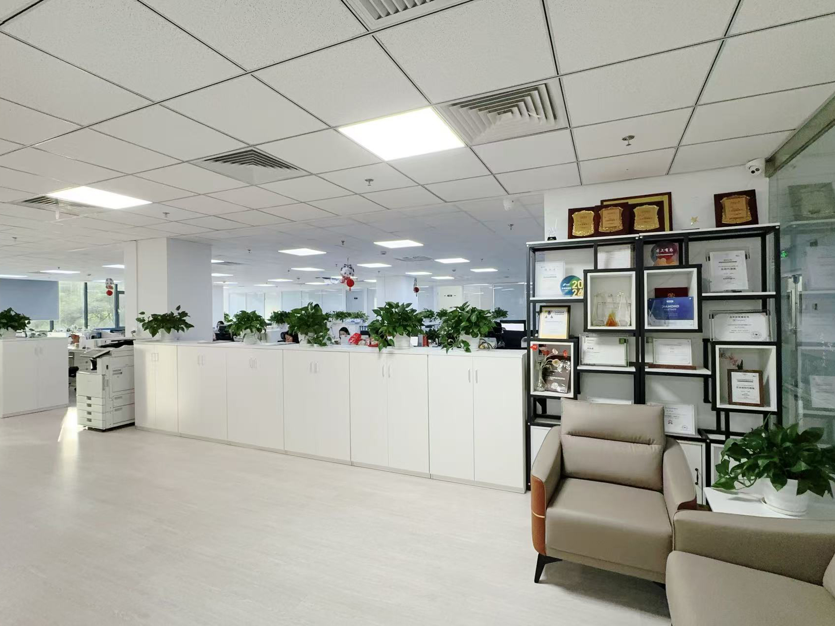 Cina Hong Kong Starsurge Group Co., Limited Profil Perusahaan