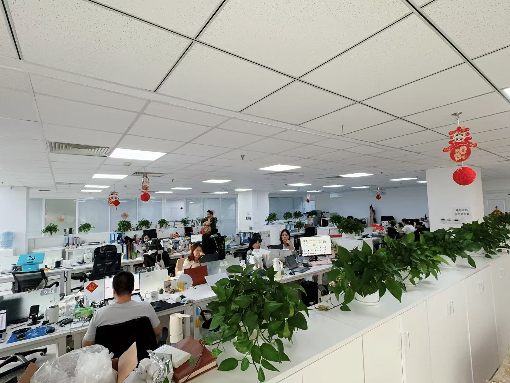 Cina Hong Kong Starsurge Group Co., Limited Profil Perusahaan