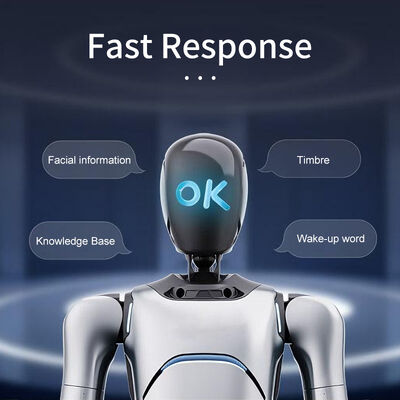 AgiBot G2 Industrial-Grade Interactive Embodied Operation Robot