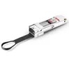 Fiber Optical 4 X SFP10g ke Qsfp Reverse Adapter Cvr-4SFP10g-Qsfp 10g ke Qsfp Reverse Adapter Module